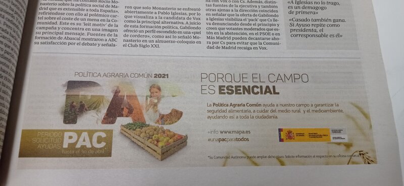 Descripción de la imagen